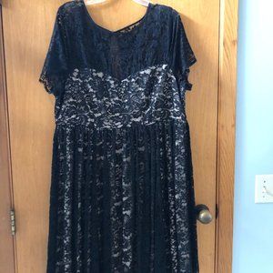 Torrid Lace Mini Dress